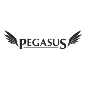 logo-pegasus-768x768